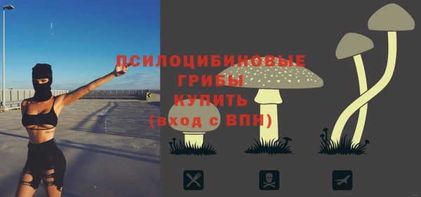 дмт Вязники