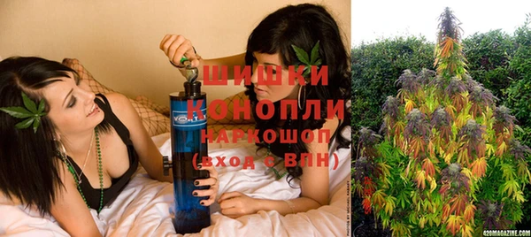 ECSTASY Горняк