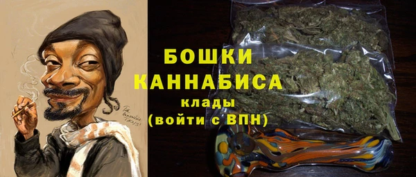 ECSTASY Горняк