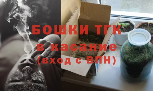 хмурый Вяземский